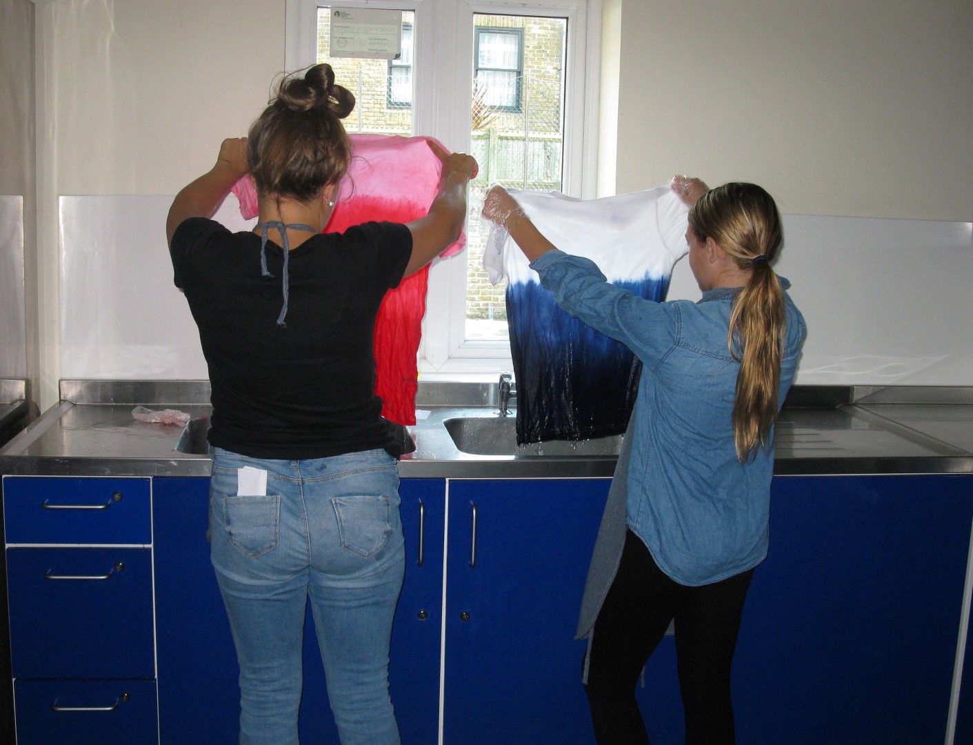 IMG 1505 (Large) (2)   Copy